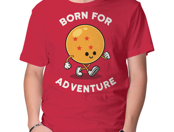 Born For Adventure