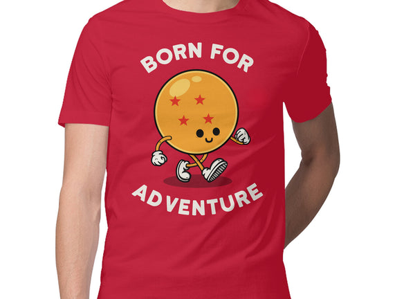 Born For Adventure