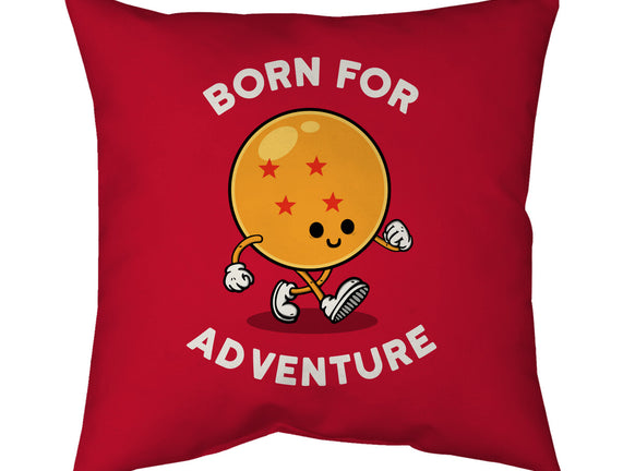 Born For Adventure