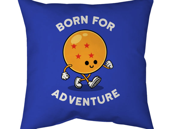 Born For Adventure