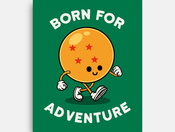 Born For Adventure