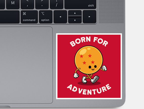 Born For Adventure