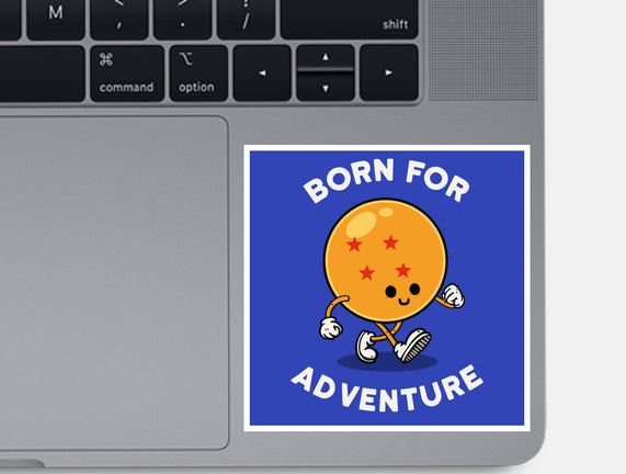 Born For Adventure