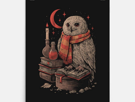 Mystic Owl