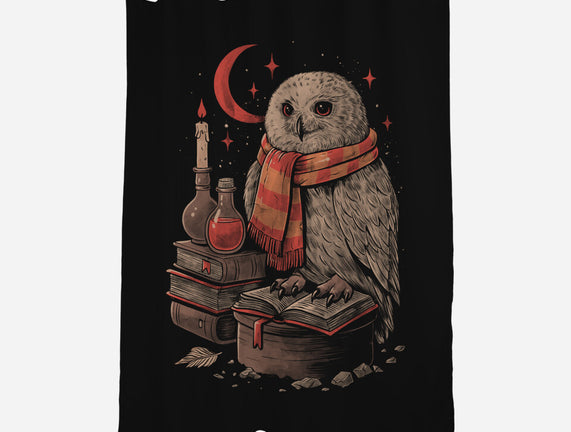 Mystic Owl