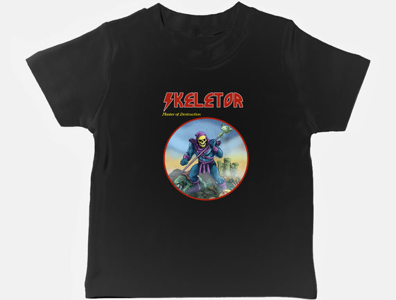 Skeletor Master Of Destruction