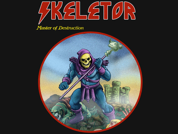 Skeletor Master Of Destruction