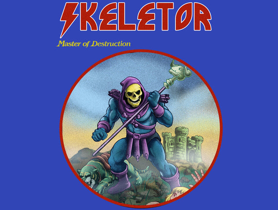 Skeletor Master Of Destruction
