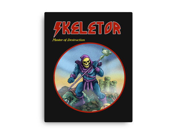 Skeletor Master Of Destruction