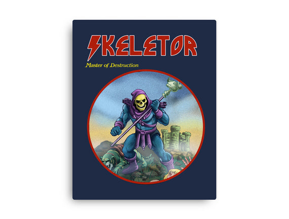 Skeletor Master Of Destruction