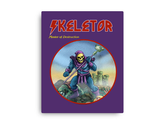 Skeletor Master Of Destruction