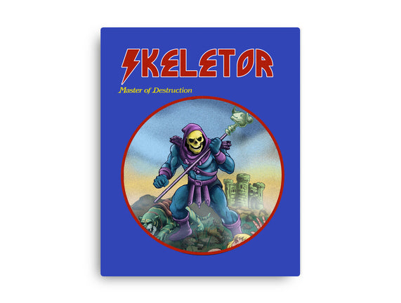 Skeletor Master Of Destruction