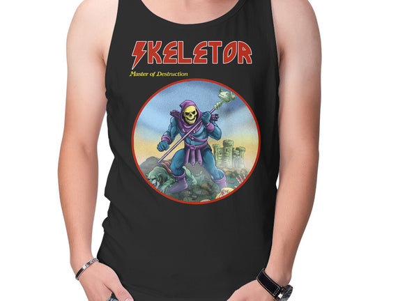 Skeletor Master Of Destruction