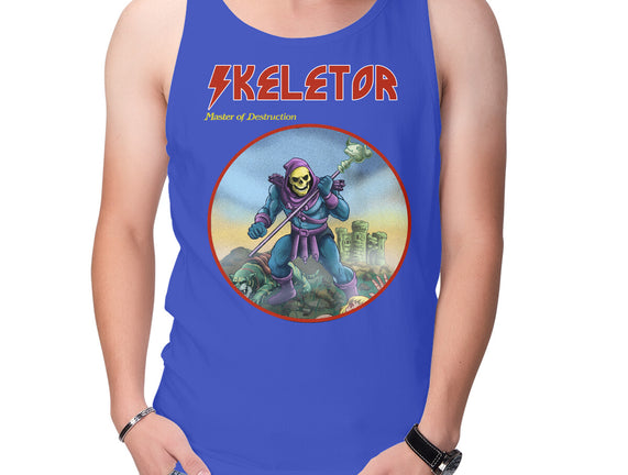 Skeletor Master Of Destruction