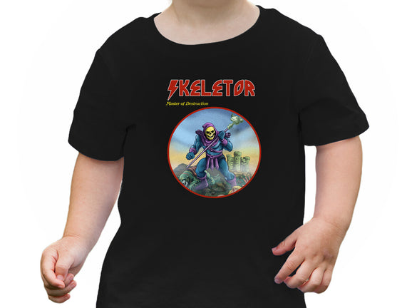 Skeletor Master Of Destruction