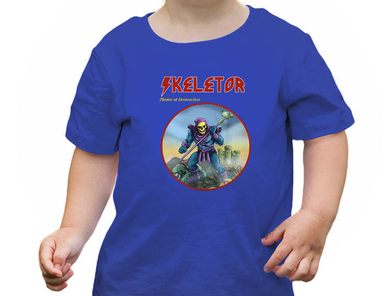 Skeletor Master Of Destruction