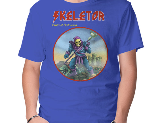 Skeletor Master Of Destruction