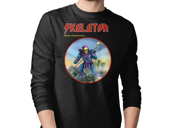 Skeletor Master Of Destruction