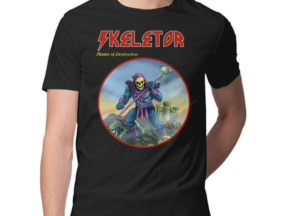 Skeletor Master Of Destruction
