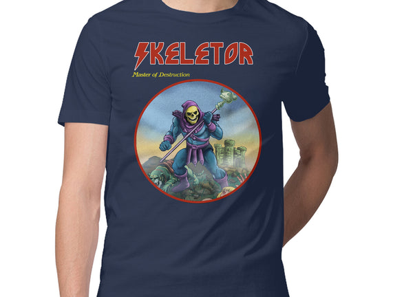 Skeletor Master Of Destruction