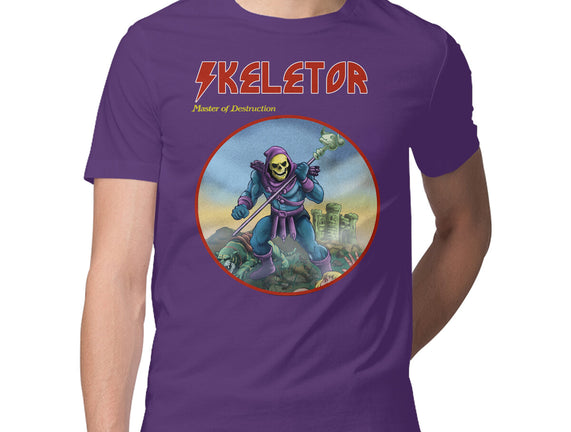 Skeletor Master Of Destruction