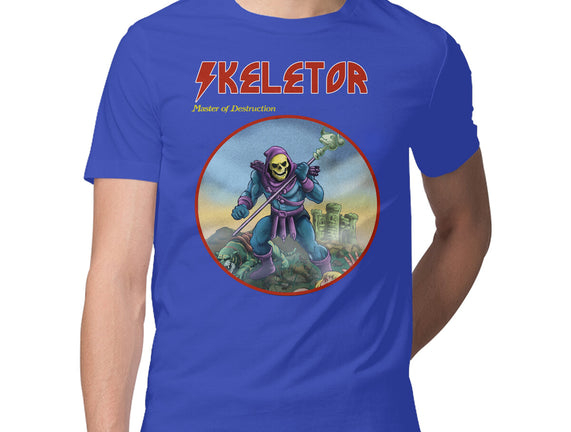 Skeletor Master Of Destruction