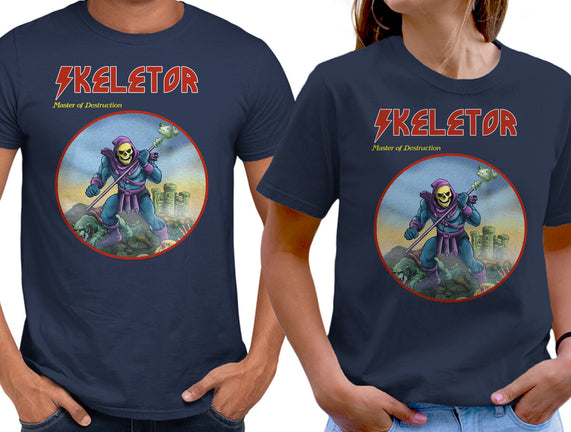 Skeletor Master Of Destruction
