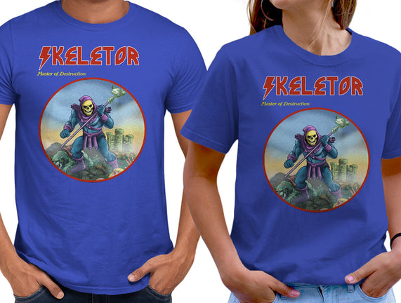 Skeletor Master Of Destruction