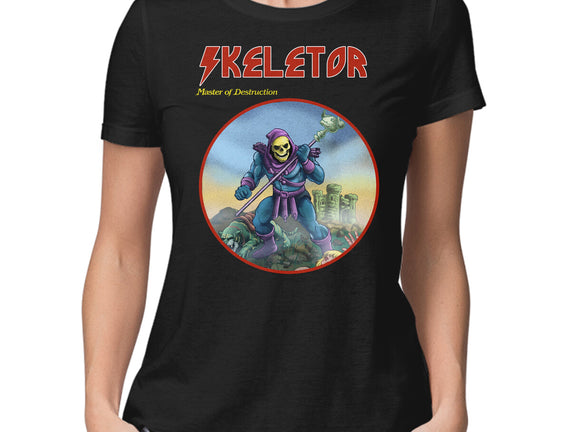 Skeletor Master Of Destruction