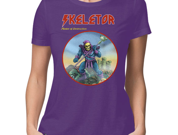Skeletor Master Of Destruction