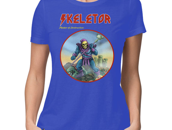 Skeletor Master Of Destruction