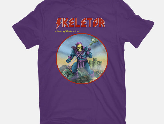 Skeletor Master Of Destruction