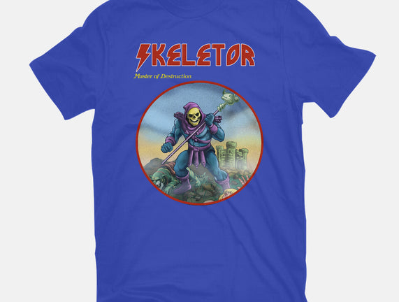 Skeletor Master Of Destruction