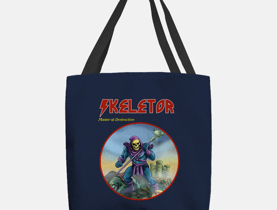 Skeletor Master Of Destruction