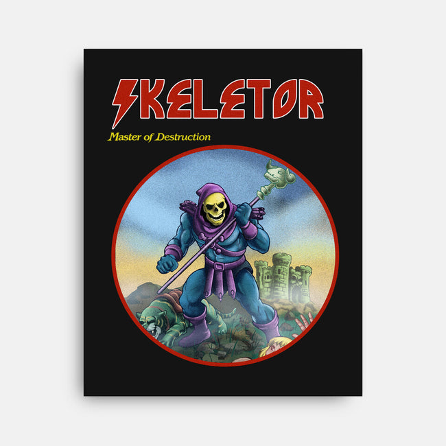 Skeletor Master Of Destruction-None-Stretched-Canvas-Diego Gurgell