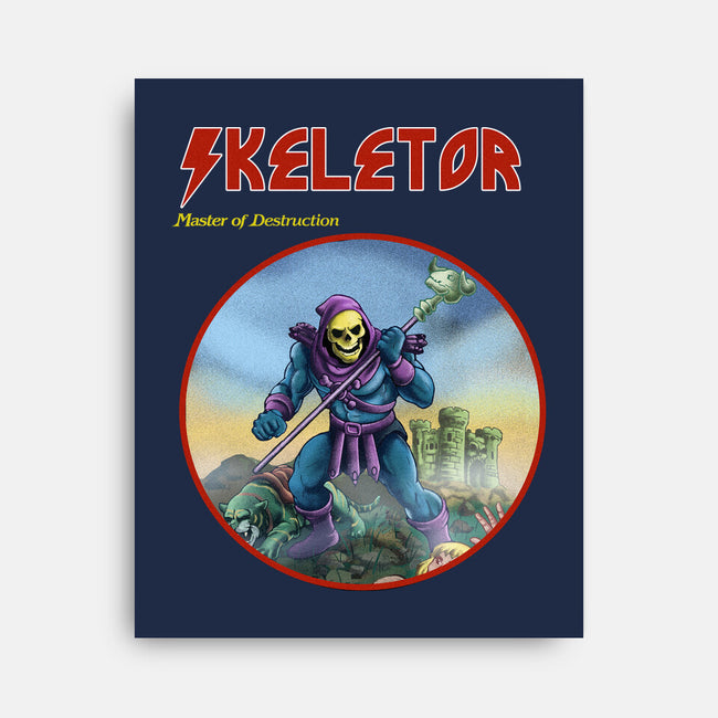 Skeletor Master Of Destruction-None-Stretched-Canvas-Diego Gurgell