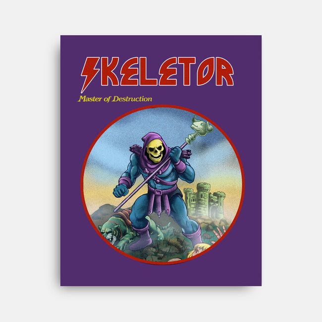 Skeletor Master Of Destruction-None-Stretched-Canvas-Diego Gurgell
