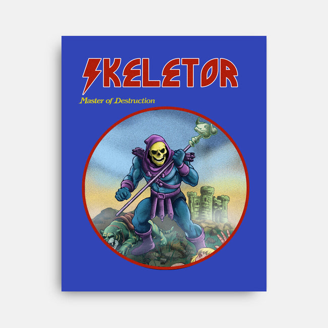 Skeletor Master Of Destruction-None-Stretched-Canvas-Diego Gurgell