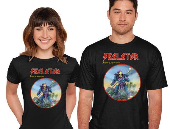 Skeletor Master Of Destruction