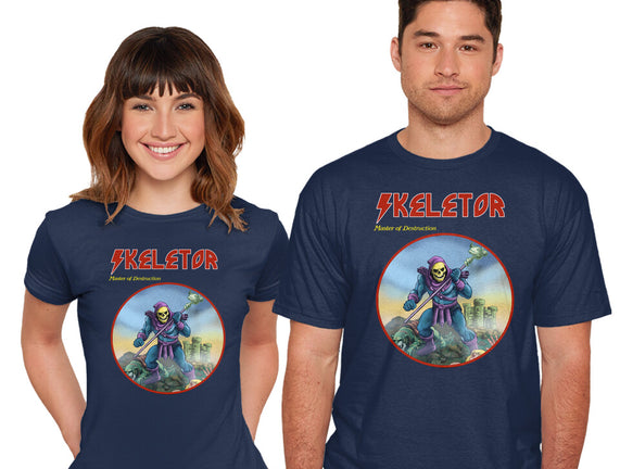 Skeletor Master Of Destruction