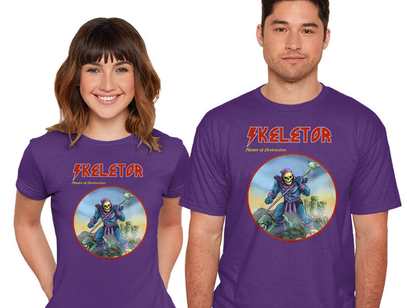 Skeletor Master Of Destruction