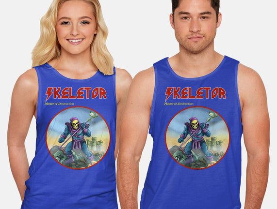 Skeletor Master Of Destruction