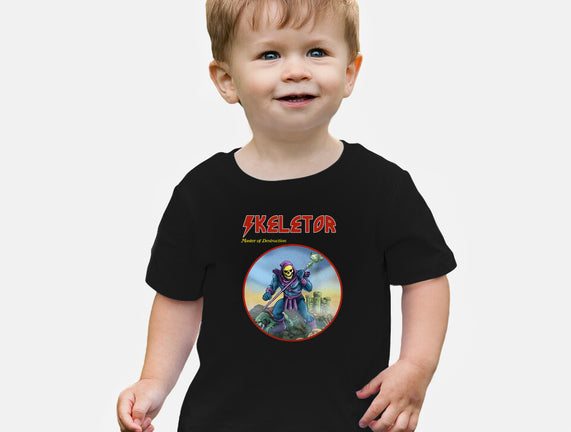 Skeletor Master Of Destruction