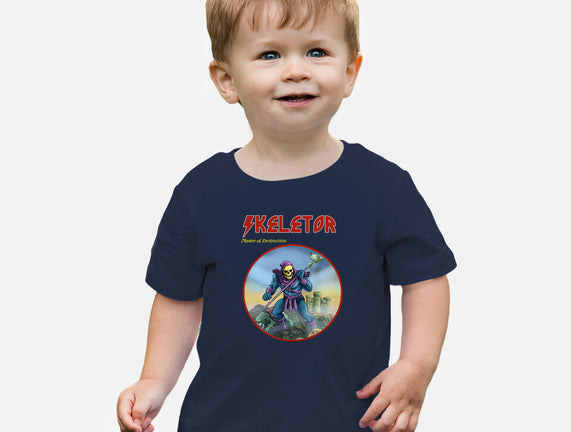 Skeletor Master Of Destruction