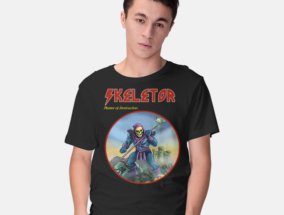 Skeletor Master Of Destruction