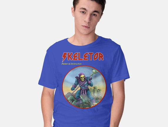 Skeletor Master Of Destruction