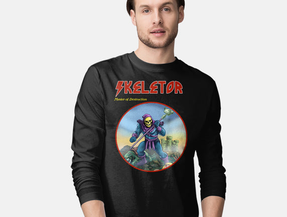 Skeletor Master Of Destruction