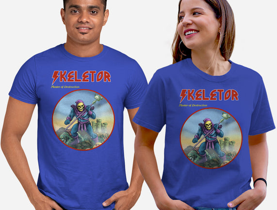 Skeletor Master Of Destruction