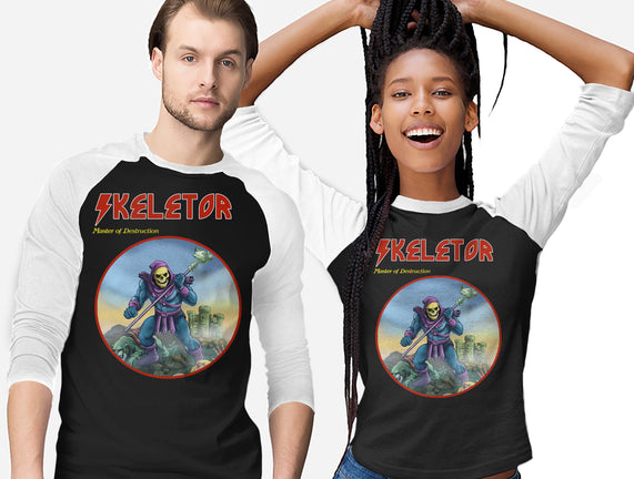 Skeletor Master Of Destruction