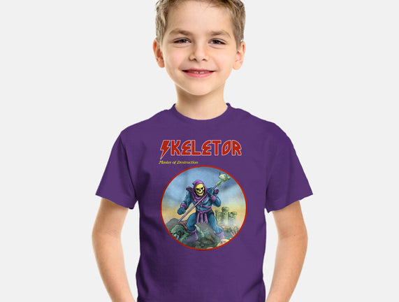 Skeletor Master Of Destruction